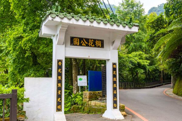 土城桐花主題公園